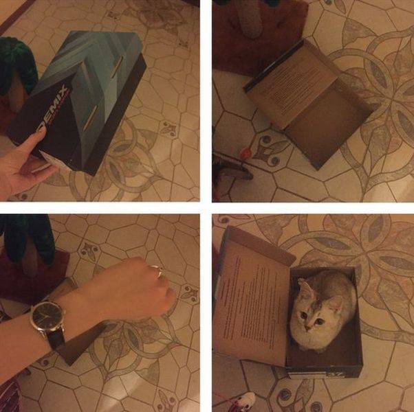 Daily Picdump Daily Picdump