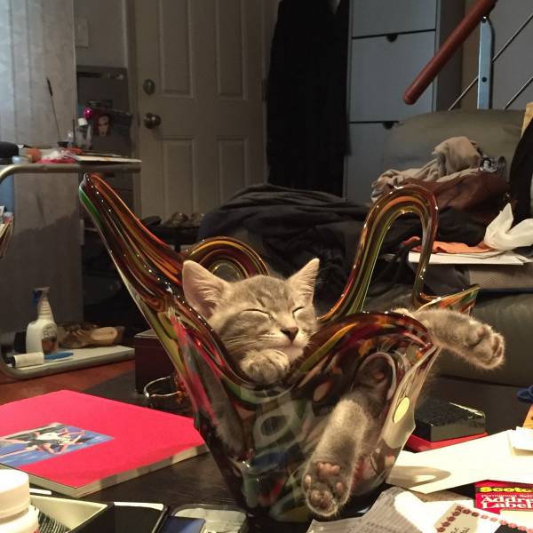 Daily Picdump Daily Picdump
