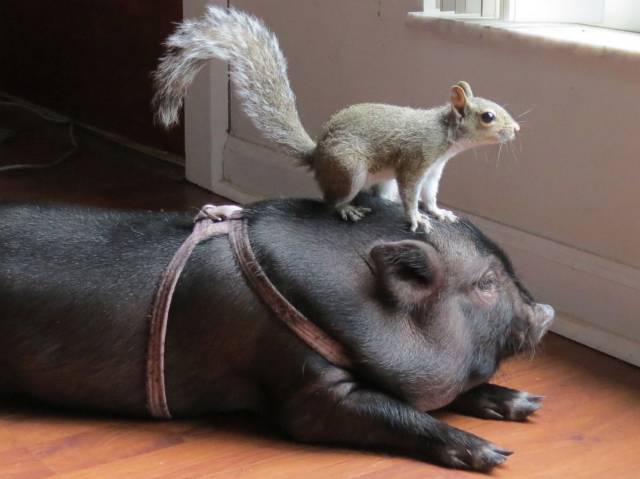 Daily Picdump Daily Picdump