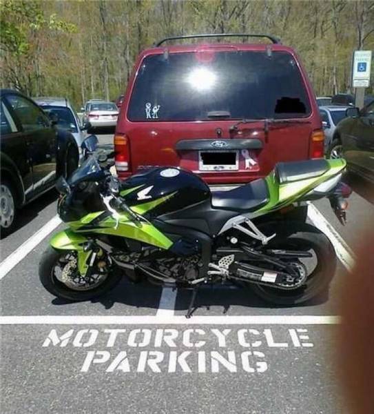 Daily Picdump Daily Picdump