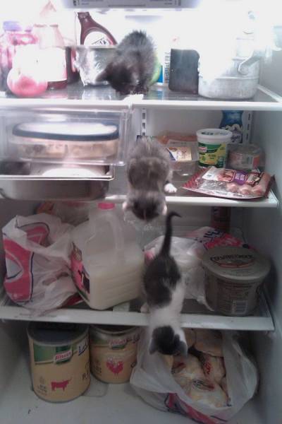 Daily Picdump Daily Picdump