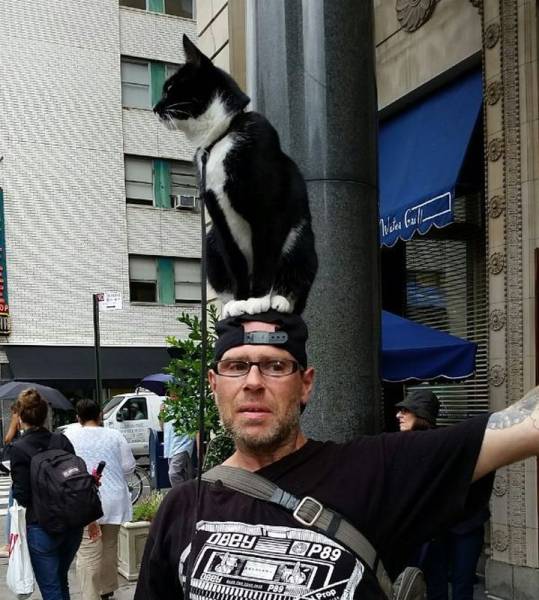 Daily Picdump Daily Picdump