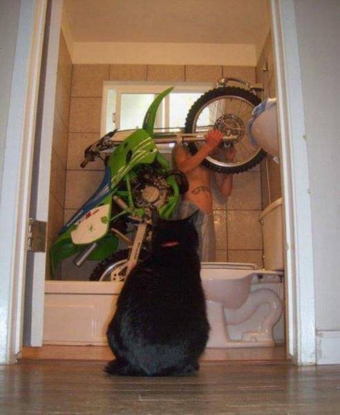 Daily Picdump Daily Picdump