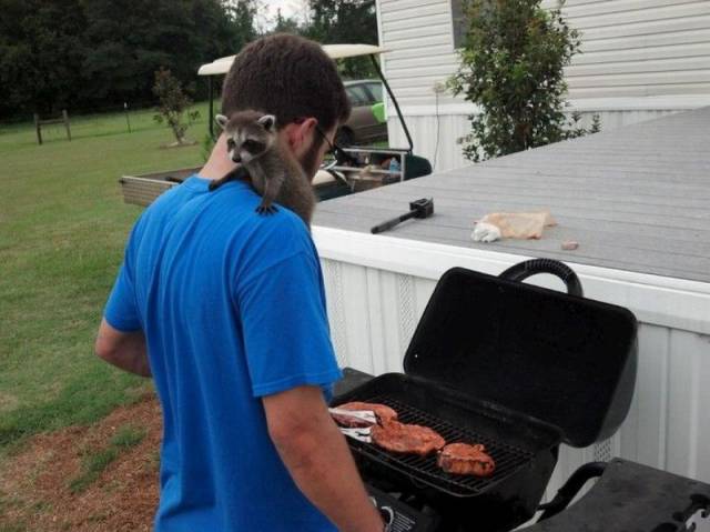 Daily Picdump Daily Picdump
