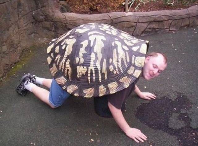 Daily Picdump Daily Picdump
