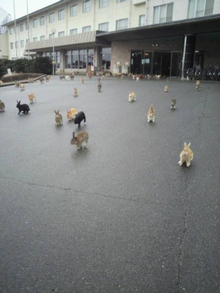 Daily Picdump Daily Picdump