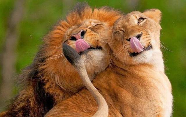 Daily Picdump Daily Picdump