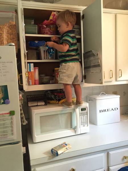 Daily Picdump Daily Picdump