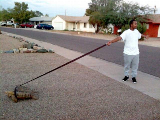 Daily Picdump Daily Picdump