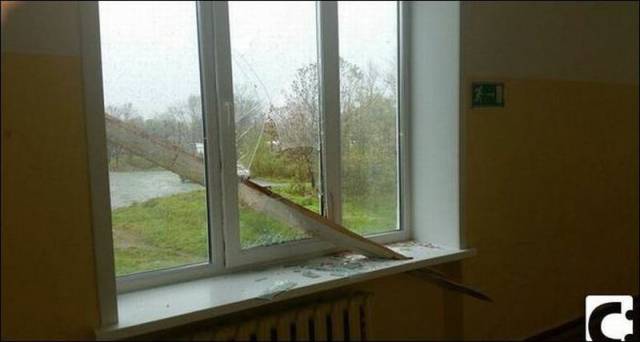 Daily Picdump Daily Picdump