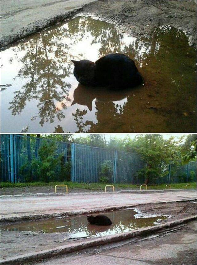 Daily Picdump Daily Picdump