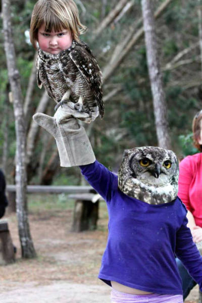 This Miserable Girl Holding an Owl Is Taking the Internet by Storm
