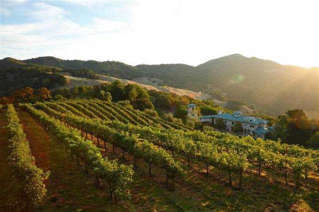 Robin Williams’s Stunning Vineyard Property Is Now Selling to the Highest Bidder