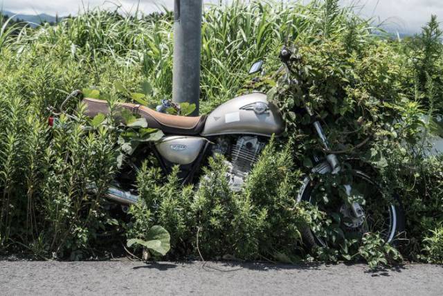 Inside the Eerie Ghost Towns Created by the Fukushima Nuclear Disaster