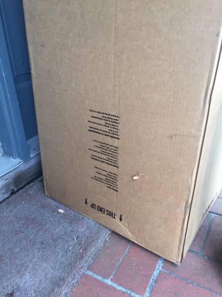 Damn It, You Only Had One Job to Do