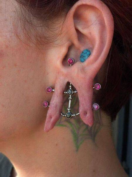 Daily Picdump Daily Picdump