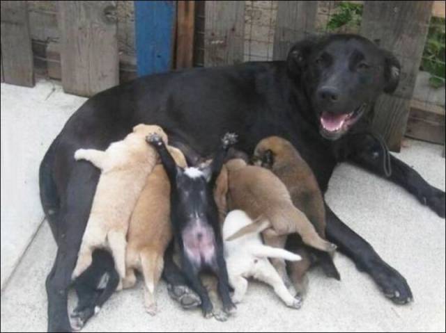 Daily Picdump Daily Picdump