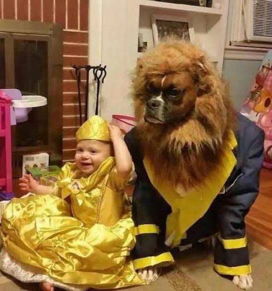 Daily Picdump Daily Picdump
