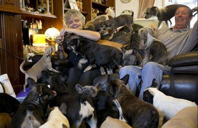 Daily Picdump Daily Picdump