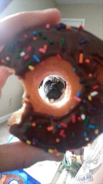Daily Picdump Daily Picdump