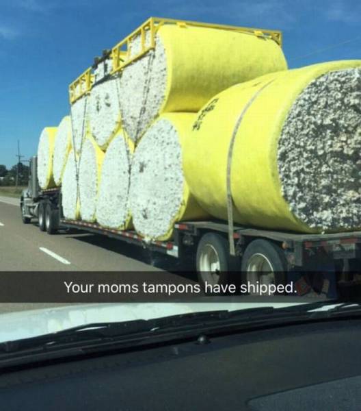 Daily Picdump Daily Picdump