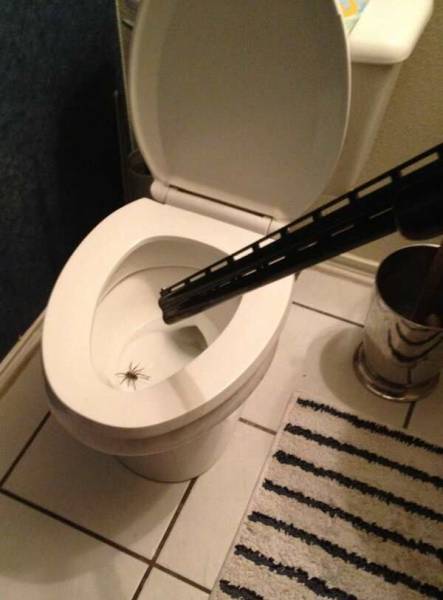Daily Picdump Daily Picdump