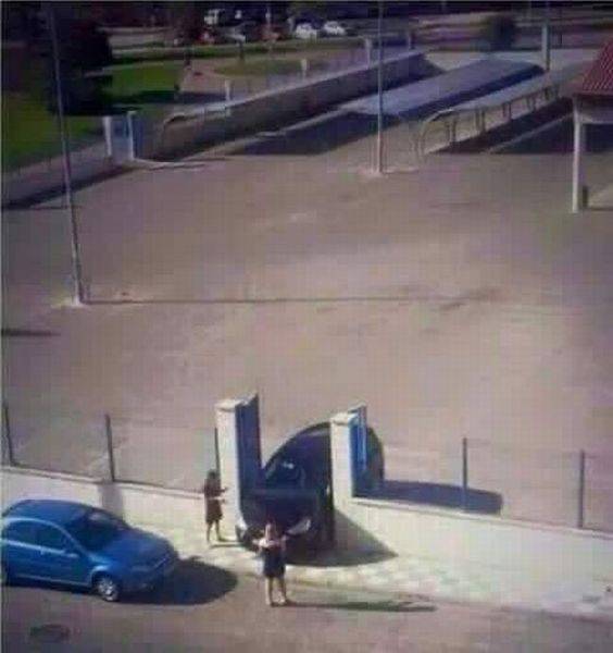 Daily Picdump Daily Picdump