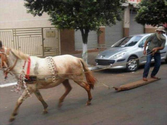 Daily Picdump Daily Picdump