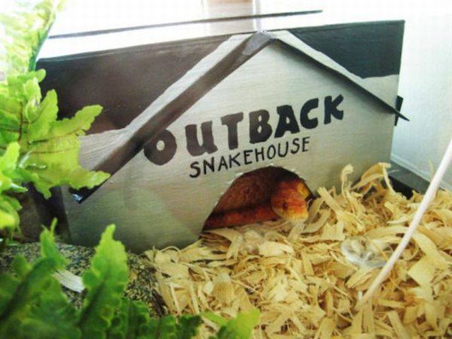 Daily Picdump Daily Picdump