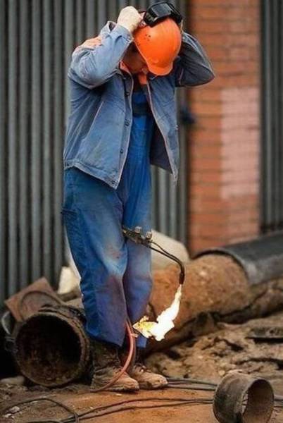 Daily Picdump Daily Picdump