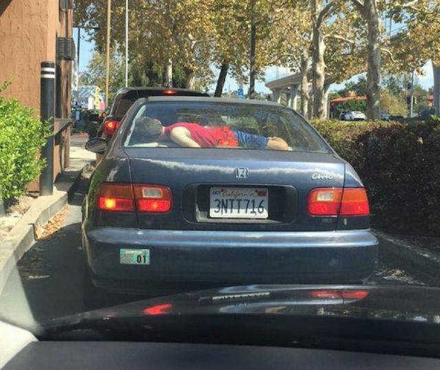 Daily Picdump Daily Picdump