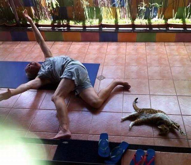 Daily Picdump Daily Picdump