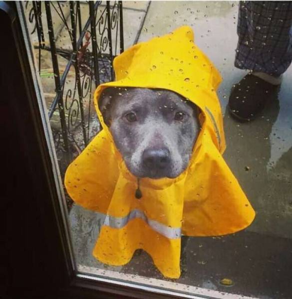 Daily Picdump Daily Picdump