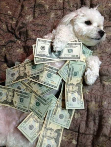 Daily Picdump Daily Picdump
