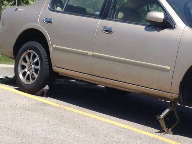 Daily Picdump Daily Picdump