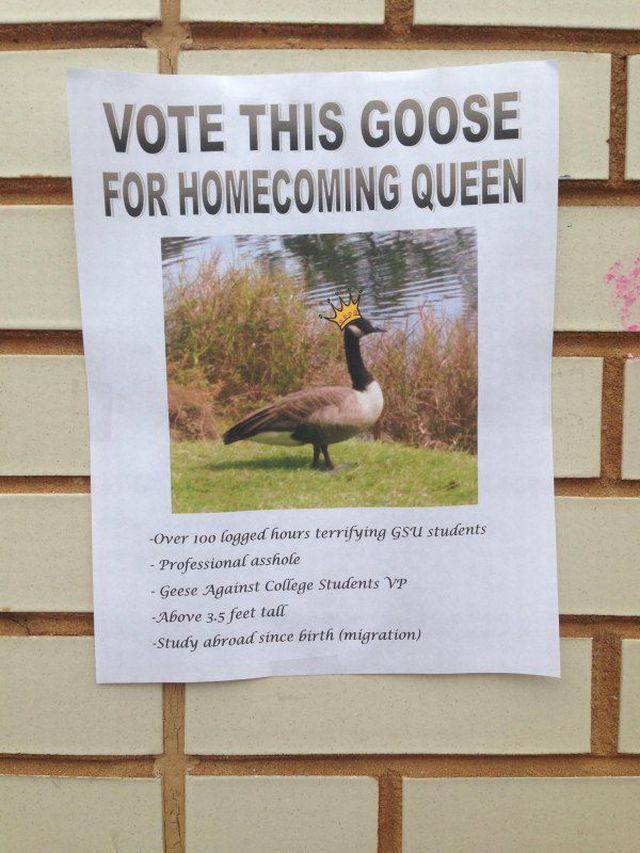 Daily Picdump Daily Picdump