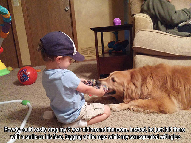 Dogs Make the Best Human Companions