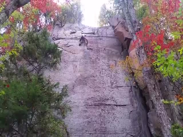 This Is Why You Should Always Wear a Harness while Rock Climbing