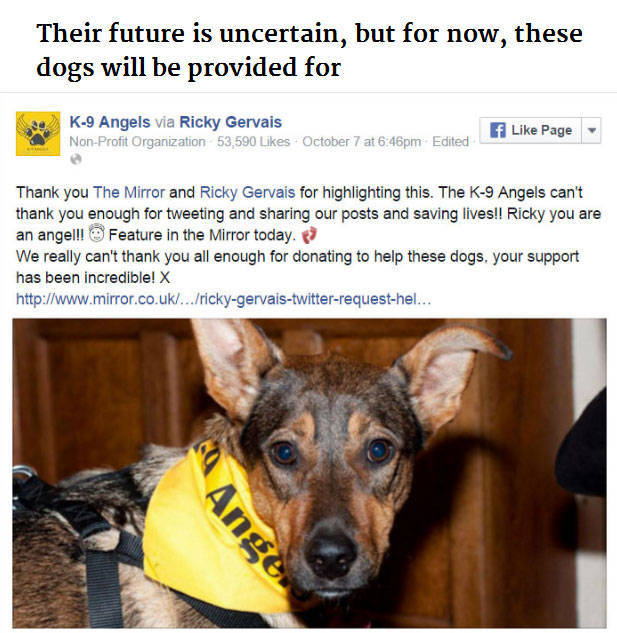 Ricky Gervais Saves Dogs One Tweet at a Time