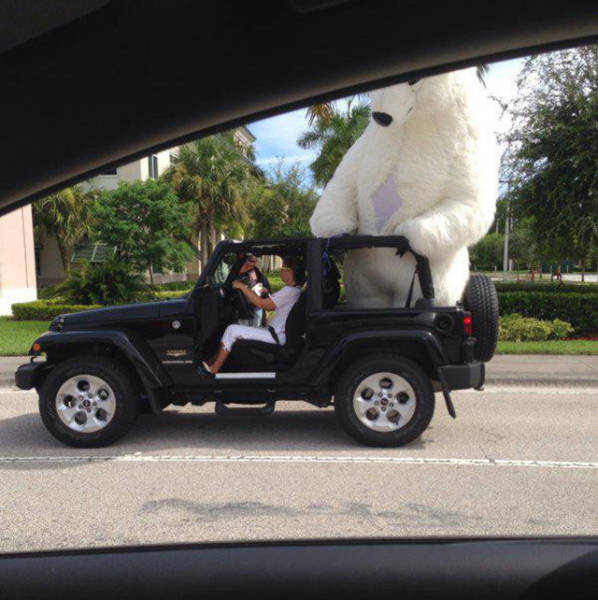 Odd Sights You Normally Wouldn’t Expect to See While Driving
