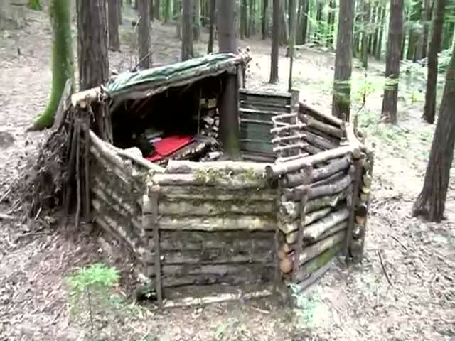 This Cool Shelter Is All You Need to Survive in the Woods