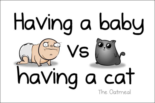 The Differences between Having a Baby and Having a Cat