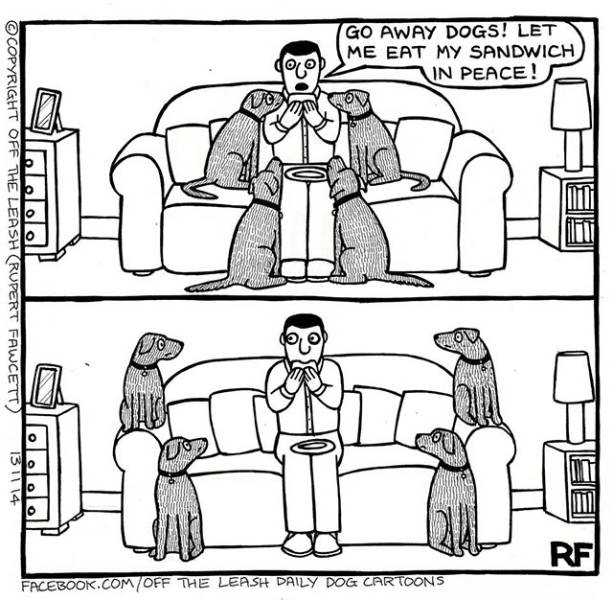 This Is the Reality of Life as a Dog Owner