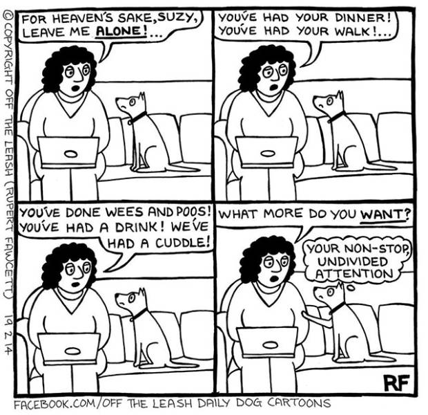 This Is the Reality of Life as a Dog Owner