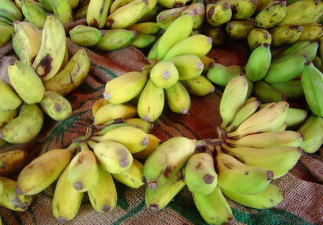 Now Is the Time Time to Eat More Bananas for Your Health
