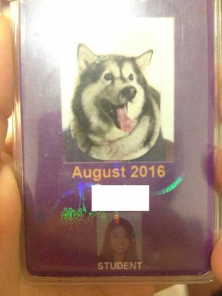 Wacky Student ID’s of People Who Clearly Don’t Take Themselves too Seriously