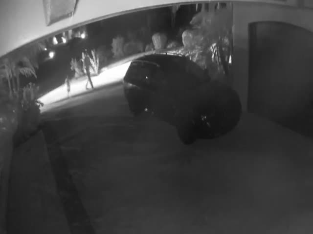 Another Halloween Candy Thief
