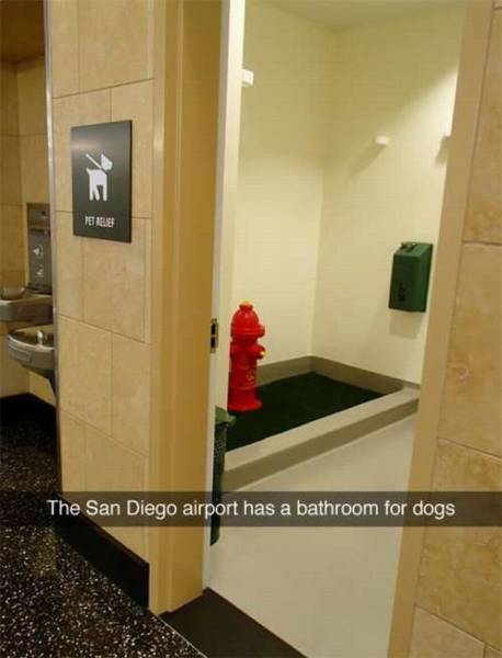 Daily Picdump Daily Picdump