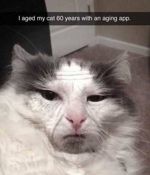 Daily Picdump Daily Picdump