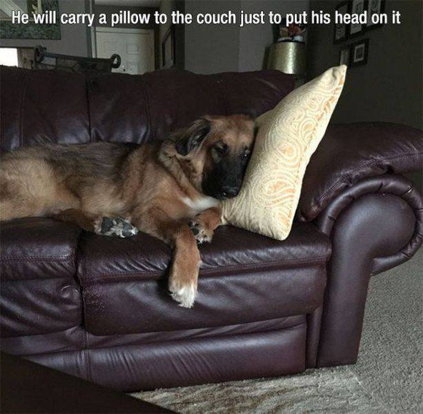 Daily Picdump Daily Picdump